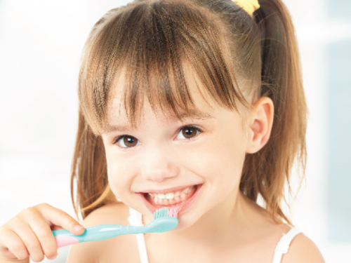 Oral Hygiene Our Services Exploits Valley Dental Office Grand Falls-Windsor Dentist
