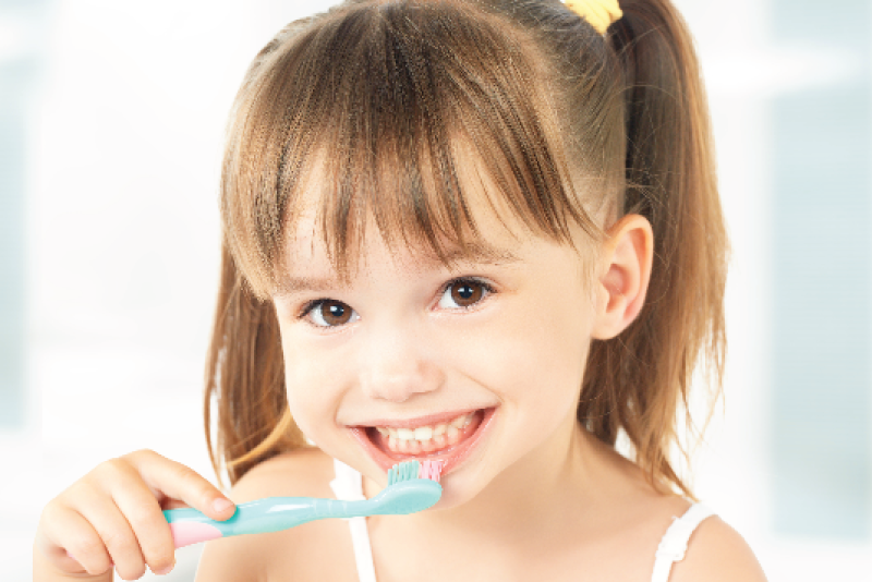 Oral Hygiene Our Services Exploits Valley Dental Office Grand Falls-Windsor Dentist